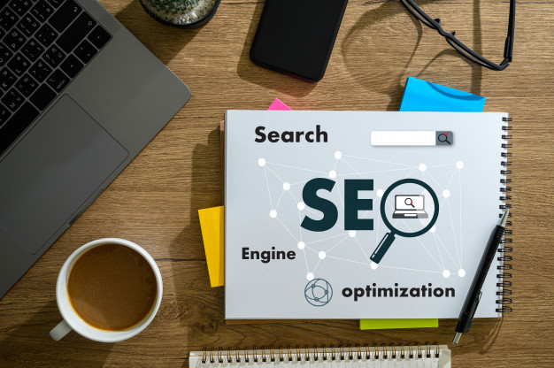 How the Best SEO Services in Delhi NCR Help a Business to Grow?